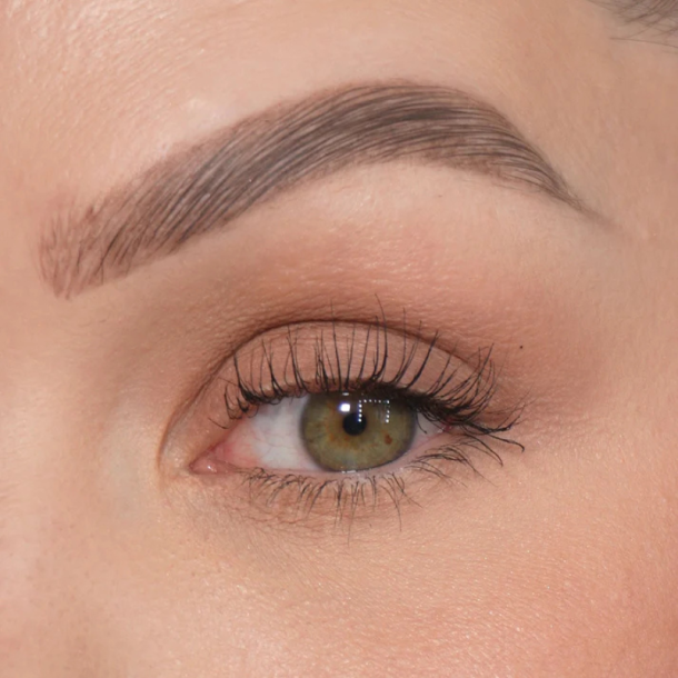 Sandstone Scandinavia Eyeshadow 