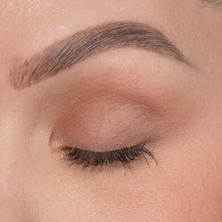 Sandstone Scandinavia Eyeshadow 