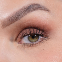 Sandstone Scandinavia Eyeshadow 