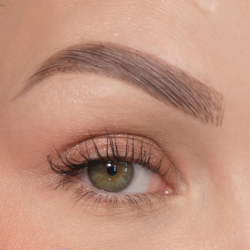 Sandstone Scandinavia Eyeshadow 