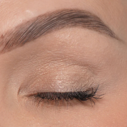 Sandstone Scandinavia Eyeshadow 