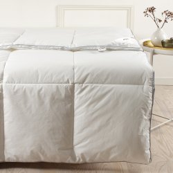 Night & Day LYRA fiberdyne