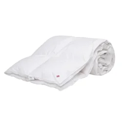 Hie Saga dun vinterdyne 