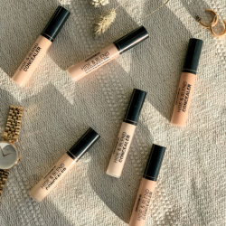 Sandstone Scandinavia Hide & Blend Concealer 