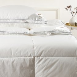 Night & Day LYRA fiberdyne