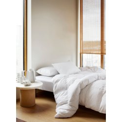 Hie Saga dun vinterdyne 