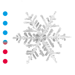 Temprakon Zone Rullemadras